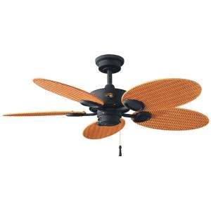 Hampton Bay Ceiling Fans from The Home Depot   Model#:72560