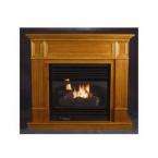 Home Depot   46 1/2 in. Vent Free Gas Fireplace customer reviews 