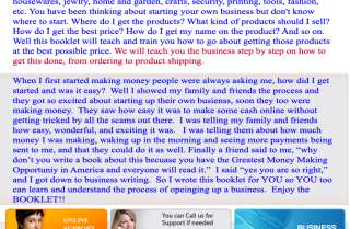 SUCCESSFUL HOME BUSINESS LEARN HOW TO MAKE MONEY ON THE INTERNET 