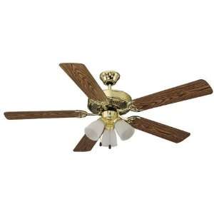  White Ceiling Fan with Bleached Oak/White Blades