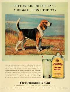   Distilling Corp Dry Gin Bottle Alcoholic Beverage Beagle Dog  