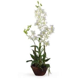   Dendrobium w/Decorative Vase Silk Flower Arrangement: Home & Kitchen
