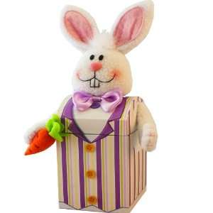 Art of Appreciation Gift Baskets Mr. Funny Bunny Easter Gift Box of 