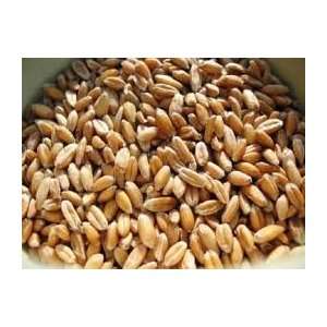 Spelt Berries, (kernels), Organic, 16 lbs, (pounds), Packed Bulk By 