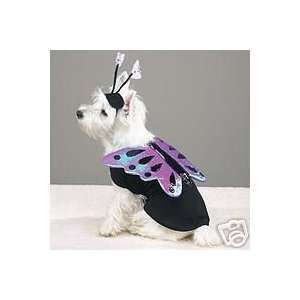    FLUTTER PUP BUTTERFLY DOG HALLOWEEN COSTUME LARGE