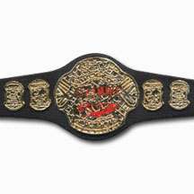 WWE JAKKS ECW HEAVYWEIGHT CHAMPION ACTION FIGURE BELT  