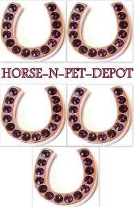   Western SHOE RODEO HEADSTALL CONCHO PINK BLUE GREEN CLEAR CRYSTAL 5PC