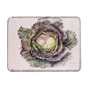  January King Cabbage (w/c) by Alison Cooper   iPad Cover 