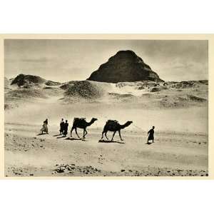  1937 Camels Step Pyramid Djoser Saqqara Photogravure 
