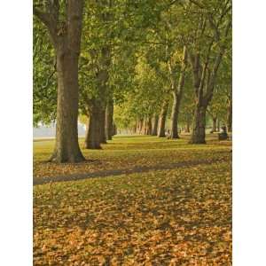  Autumn, Hyde Park, London, England, United Kingdom, Europe 