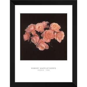  Robert Mapplethorpe FRAMED Art 28x36 Roses, 1988