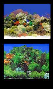 48 x 24 Freshwater Planted Garden/Caribbean Coral Reef Aquarium 