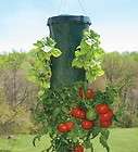 Lot of *2* Topsy Turvy Upsidedown Planter Great for Hot Peppers 