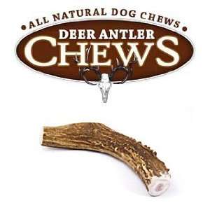    Deer Antler Dog Chew   Large Whole Deer Antler: Pet Supplies