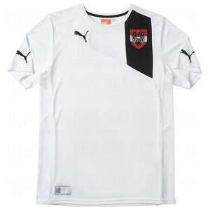  Puma Mens National Teams Austria Replica Away T Shirt 