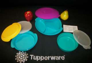   TURQUOISE Reheatables Microwave Dish Bowls ~Plate Cover ~Seals  
