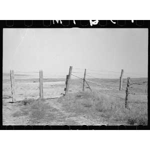  Photo Cattle gate, Dawson County, Nebraska 1938