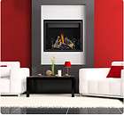 NEW Napoleon Direct Vent Clean Face Gas Fireplace HD40 