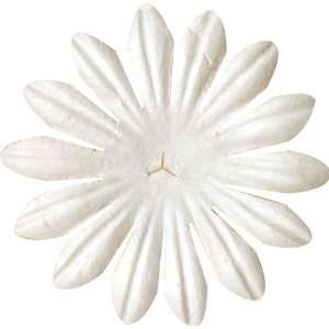   Bazzill 2 Inch Daisy Paper Flowers 10PK/White Arts, Crafts & Sewing