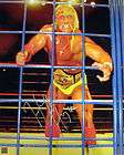 Terry Bollea Hulk Hogan Signed Wrestling Trunks ASI Proof  