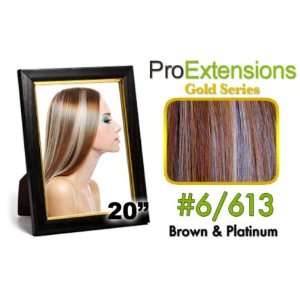  Brown w/ Platinum Highlights Hair Extensions   911603 